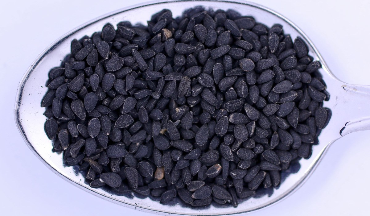 Close-up of a spoon heaped with small matte-black Nigella sativa (black cumin) seeds