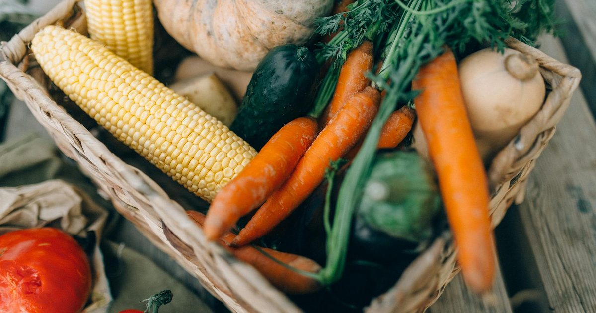 ION* Gut Support Review, a formulator's honest take on NutraSmarts