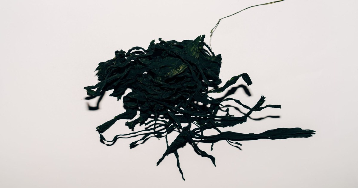 A pile of dried seaweed on a white background
