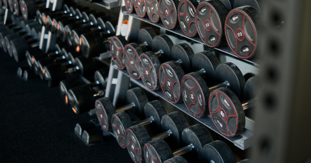 Rows of dumbbells on a rack in a gym